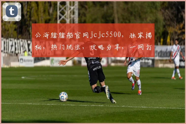 公海赌赌船官网jcjc5500，独家揭秘，热门玩法，攻略分享，一网打尽
