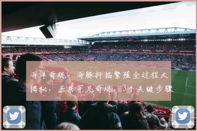 海洋奇观，海豚扦插繁殖全过程大揭秘，亲历罕见奇观，3个关键步骤，不容错过