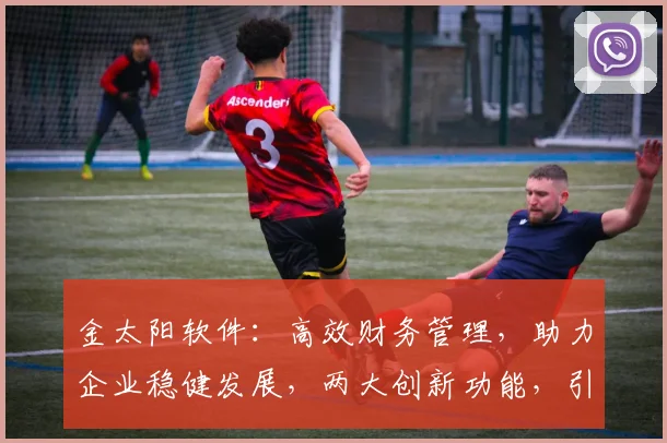 金太阳软件：高效财务管理，助力企业稳健发展，两大创新功能，引领行业潮流