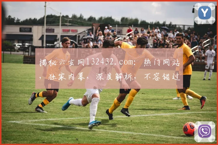 揭秘六玄网132432.com：热门网站，独家内幕，深度解析，不容错过